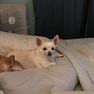 Meet your Posher, Karin